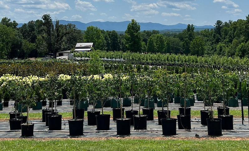 Container Nursery | Pro Green, Inc